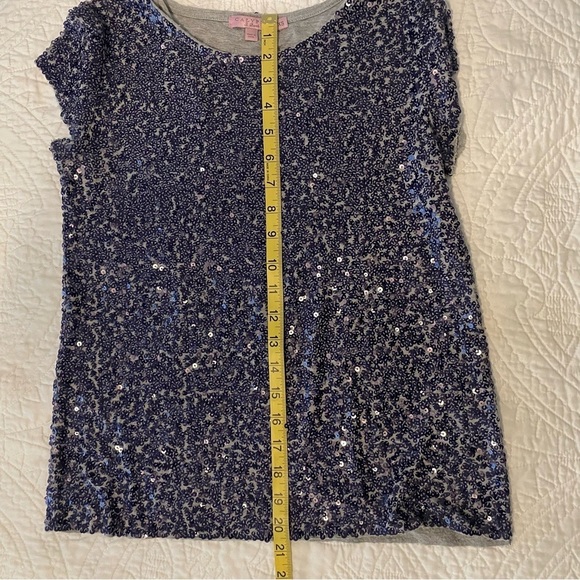 CALYPSO St BARTH  Y2K Sequin Bruni Tee Purple Size XS Short Sleeve Top - Picture 6 of 12
